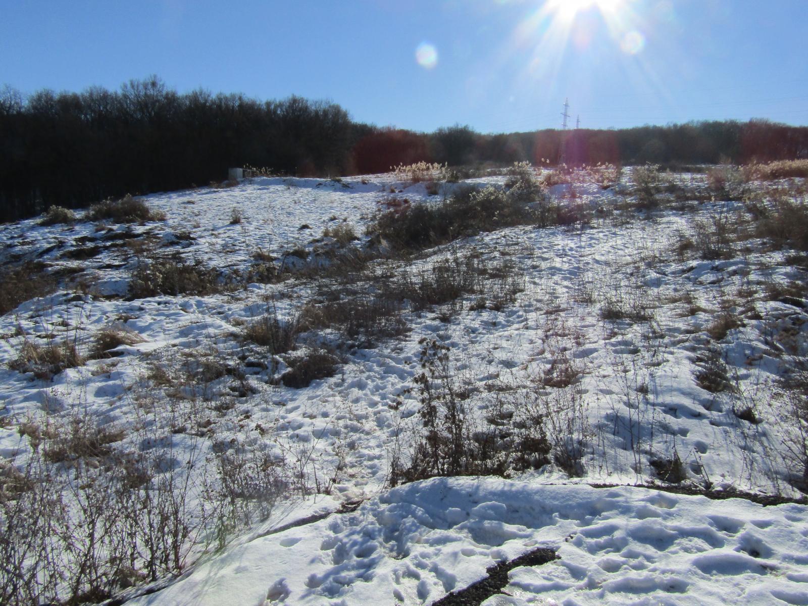 Teren de vânzare Manastur - 23919TV | BLITZ Cluj-Napoca | Poza2