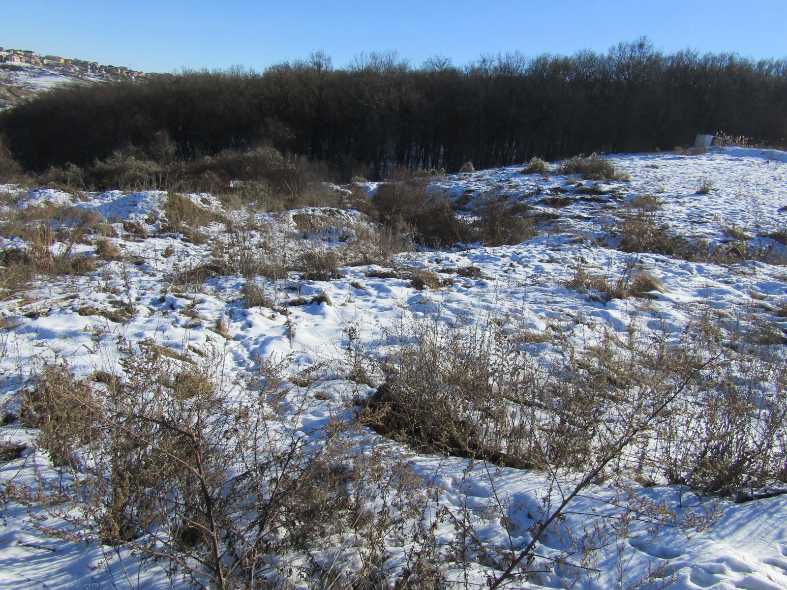 Teren de vânzare Manastur - 23919TV | BLITZ Cluj-Napoca | Poza3