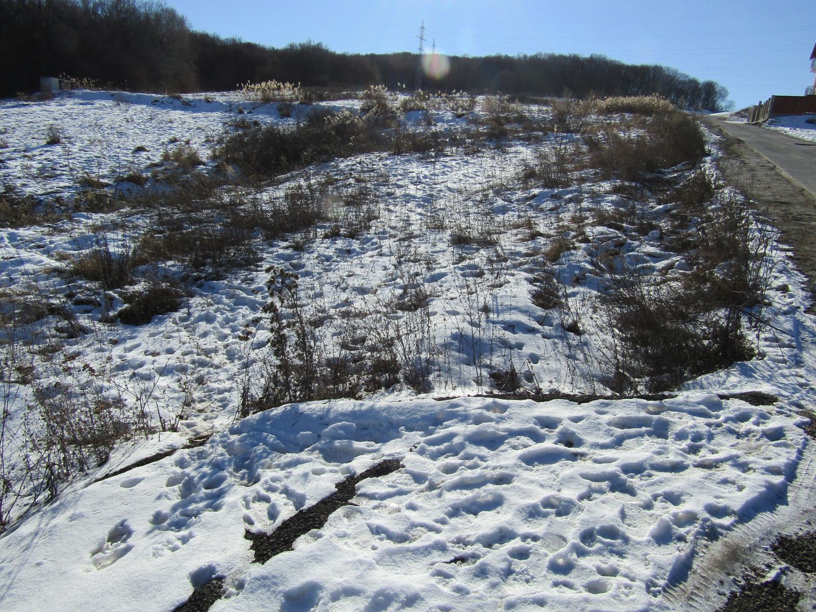 Teren de vânzare Manastur - 23919TV | BLITZ Cluj-Napoca | Poza4