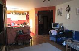 De vanzare apartament cu 2 camere, 52 mp! Zona strazii Stejarului!