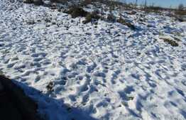 Teren de vanzare, 7182  mp, PUZ in lucru