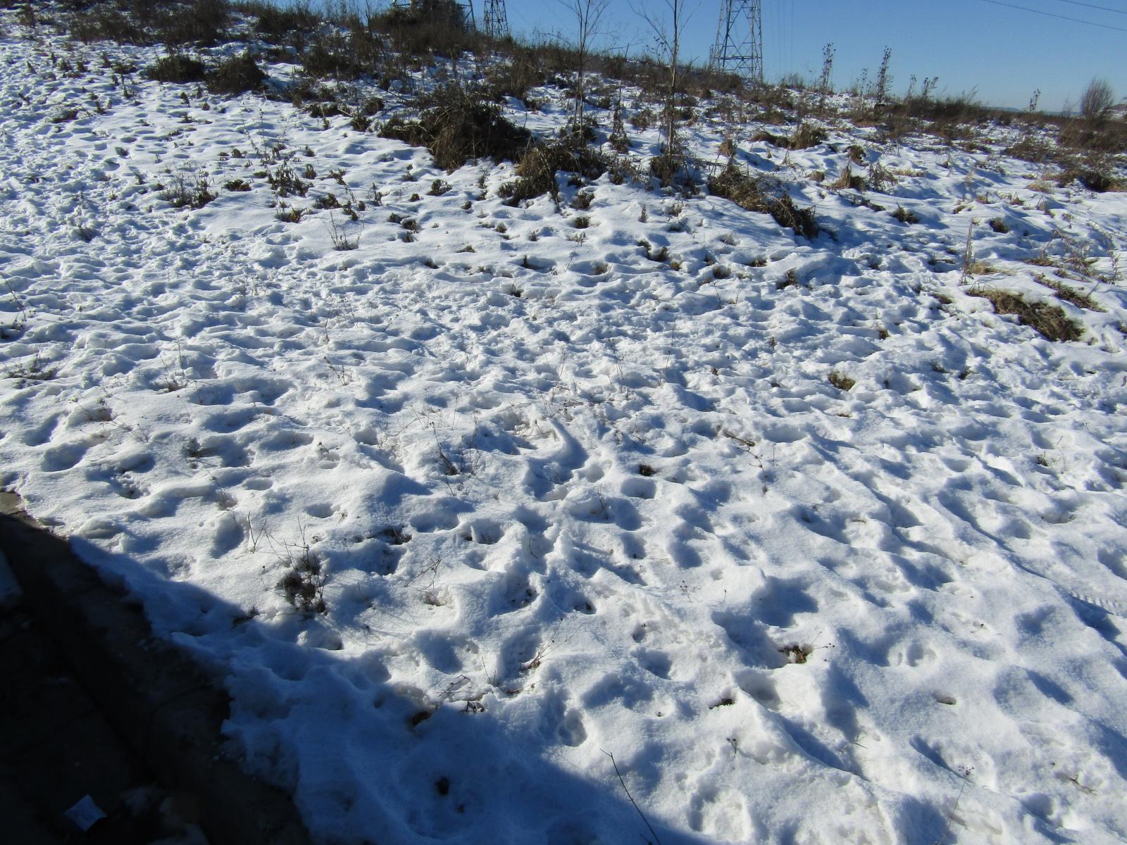 Teren de vânzare Manastur - 23923TV | BLITZ Cluj-Napoca | Poza3