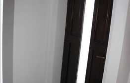 Apartament cu 1 camera, recent renovat in zona Primariei