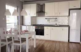 3 camere, 66 mp, mobilat modern, terasa de 120 mp, zona strazii Calea Turzii