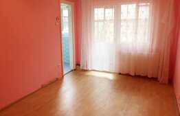 Garsoniera 24 mp, etaj intermediar, zona Garii