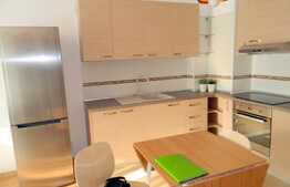 2 camere, 50 mp, imobil nou, prima inchiriere, parcare, zona Complex Viva City