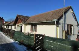 De vanzare 2 case in curte comuna, 320 mp, 500 mp teren, zona semicentrala!