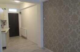 De vanzare garsoniera 22 mp, terasa, zona strazii Horea