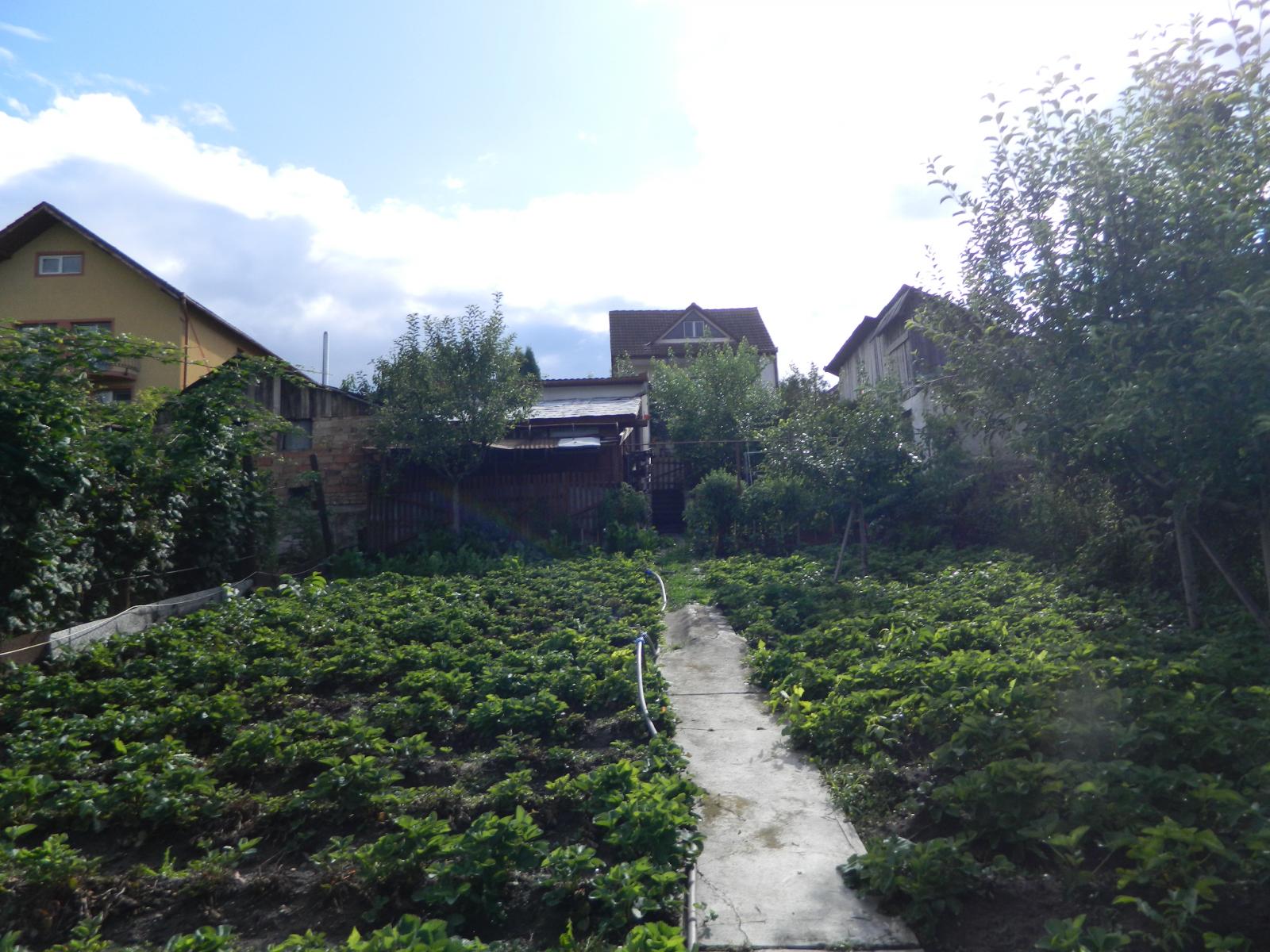 Casa de vânzare 4 camere Manastur - 23989CV | BLITZ Cluj-Napoca | Poza7