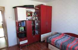 Vanzare apartament 2 camere, 50 mp, boxa, zona strazii Dunarii