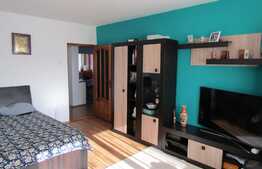 Vanzare apartament 2 camere, 50 mp, boxa, zona strazii Dunarii