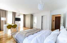 1 camera, 45 mp, mobilat lux, terasa 20 mp, zona Iulius Mall