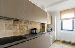 2 camere, 60 mp, mobilat lux, totul nou, zona Iulius Mall