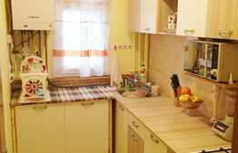 Apartament 3 camere, 46 mp, zona strazii Bucegi