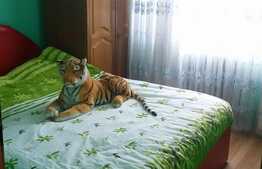 Apartament 2 camere, 34 mp, etaj intermediar, zona strazii Primaverii