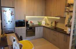 Vanzare apartament 2 camere, 50 mp, parcare, boxa, zona strazii Fabricii