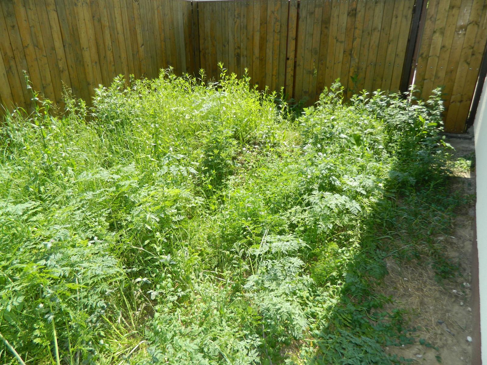 Casa de vânzare 4 camere Floreşti - 24049CV | BLITZ Cluj-Napoca | Poza7