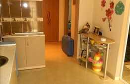 2 camere, 52 mp plus 40 mp TERASA, 2 locuri parcare, zona Profi