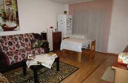 3 camere, 65 mp! Complet mobilat! Parcare! Zona strazii Tineretului!