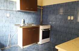 De vanzare casa individuala 90 mp, 600 mp teren, front 12 ml, zona linistita!