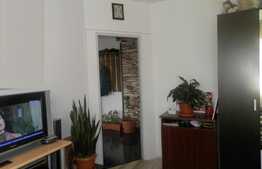 Vanzare apartament cu 2 camere, 55 mp! Terasa de 55 mp! Parcare! Zona Stejarului! 