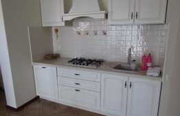 Casa deosebita, 433 mp utili, teren 350 mp, 5 terase, zona centrala!