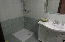 Casa deosebita, 433 mp utili, teren 350 mp, 5 terase, zona centrala!