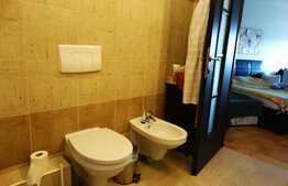 Penthouse 100 mp, terasa 10 mp, garaj subteran, zona Clujana