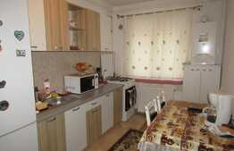 2 camere, 58 mp! Complet mobilat si utilat! Parcare! Zona strazii Florilor!