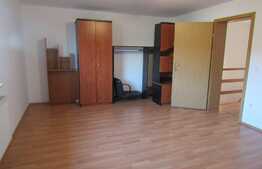 Duplex de vanzare, 120 mp utili, teren de 200 mp! Zona Profi!