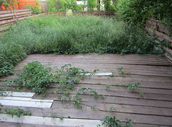 Casa de vânzare 3 camere Floreşti - 24269CV | BLITZ Cluj-Napoca | Poza10