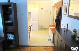 Apartament 2 camere, 50 mp utili, semidecomandat, mobilat, zona strazii Unirii