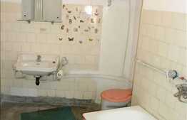 Pozitionare Sudica, zona Facultatii de Business, ideal pentru investitie