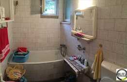 Pozitionare Sudica, zona Facultatii de Business, ideal pentru investitie