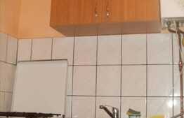 Apartament 1 camera, 22 mp,  zona Expo Transilvania