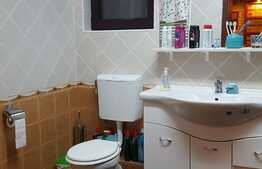 Vanzare casa individuala, 280 mp utili, 700 mp teren, zona linistita