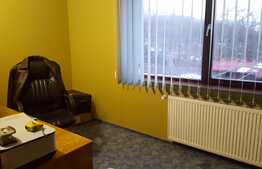 Vanzare casa individuala, 280 mp utili, 700 mp teren, zona linistita