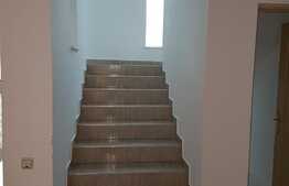 Casa pentru birouri, 320 mp, terasa, parcare, zona Profi