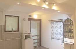 De vanzare garsoniera, 38 mp, imobil casa/vila, zona strazii Calea Motilor