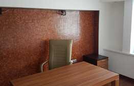 Spatiu birouri, 100 mp, zona Teatrului National