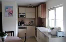 Apartament 3 camere, 70 mp, decomandat, terasa 70 mp, zona Iulius Mall