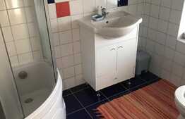 Casa individuala 245 mp utili, 640 mp teren, mobilata, zona linistita!