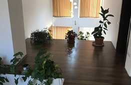 Casa individuala 245 mp utili, 640 mp teren, mobilata, zona linistita!