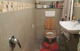 Apartament 1 camera, 79 mp utili, in casa/vila, zona Piata Mihai Viteazu