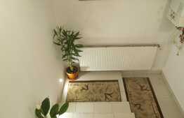 Apartament 1 camera, 79 mp utili, in casa/vila, zona Piata Mihai Viteazu