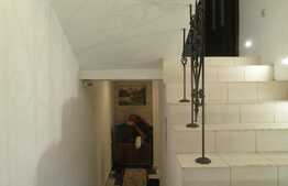 Apartament 1 camera, 79 mp utili, in casa/vila, zona Piata Mihai Viteazu