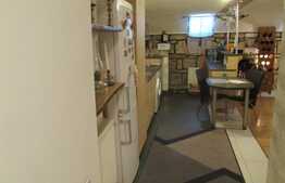 Apartament 1 camera, 79 mp utili, in casa/vila, zona Piata Mihai Viteazu