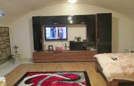 Apartament 1 camera, 79 mp utili, in casa/vila, zona Piata Mihai Viteazu