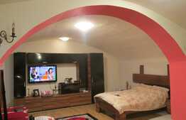 Apartament 1 camera, 79 mp utili, in casa/vila, zona Piata Mihai Viteazu