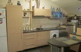 Apartament 1 camera, 79 mp utili, in casa/vila, zona Piata Mihai Viteazu